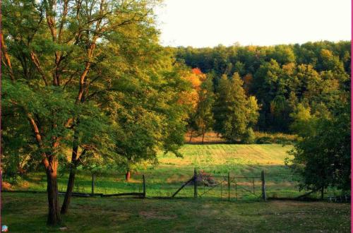 a pasture with a fence and a tree in a field at Katica Vendégház Somogyvár - Ladybird Villa Somogyvár in Somogyvár