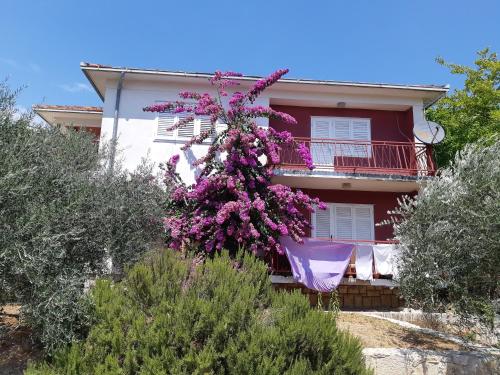 Zahrada ubytování Apartman VeDE Baćina