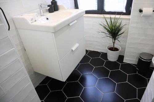 a bathroom with a white sink and a potted plant at Villa Noellet - Clermont Ferrand in Aubière
