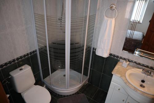 a bathroom with a shower and a toilet and a sink at Casa Rural Cares in Santa Maria de Valdeón