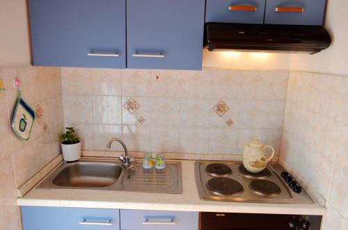 a kitchen with a sink and a stove top oven at Apartments and Rooms Suzana in Kršan