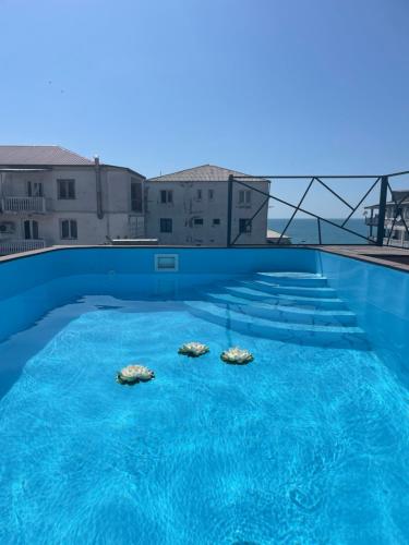 Πισίνα στο ή κοντά στο Hotel Chaika