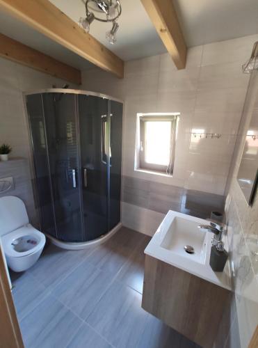 a bathroom with a shower and a toilet and a sink at Słoneczny Domek in Kluszkowce