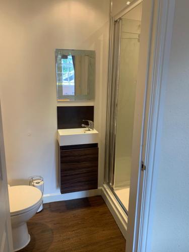uma casa de banho com um WC, um lavatório e um chuveiro em Crown Hotel em Pateley Bridge