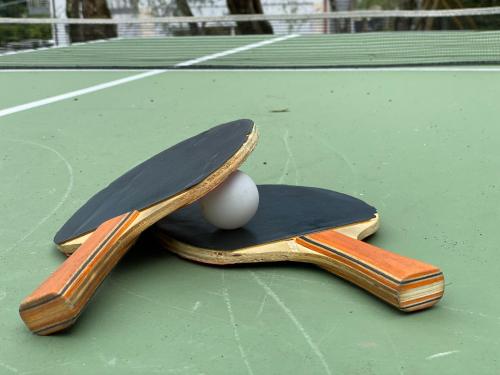 two tennis rackets with a ball on a tennis court at Hotel Stella Alpina in Malcesine