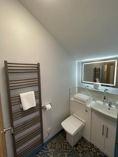 een badkamer met een wastafel, een toilet en een spiegel bij Harbour View in Brixham