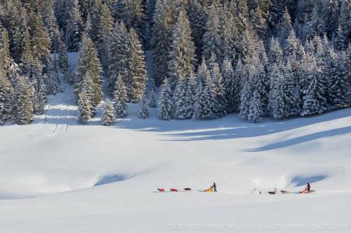 a group of people skiing down a snow covered slope at Chez la Tante Louise - appartement privé de charme in Passenans
