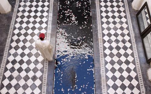 an overhead view of a pool with a chicken on a checkered floor at Dar Darma in Marrakesh