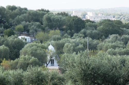 Fotografie z fotogalerie ubytování Trullo Messapico - contrada Montecalvo v destinaci Ceglie Messapica