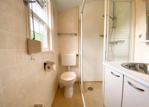 a bathroom with a toilet and a shower and a sink at Hello Zeeland - Vakantiehuis Paarlhof 51 in Groede