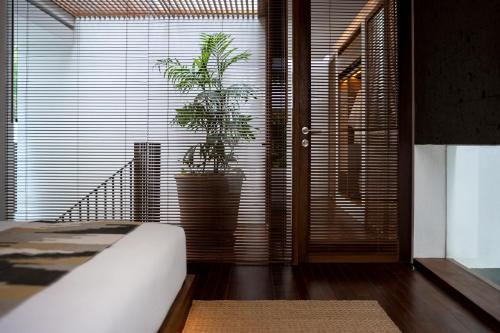 a bedroom with a potted plant in front of a window at Blossom Eco Luxe Villas by Ekosistem in Canggu