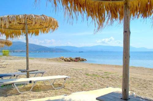 a beach with a bench and an umbrella and the ocean at Epipleon Luxury Suites - 107 - Διαμέρισμα 85τμ - Θέα στη θάλασσα in Nafpaktos