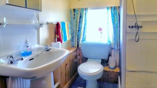 uma casa de banho com um lavatório, um WC e uma janela. em The Cosy Barn em Kilrush