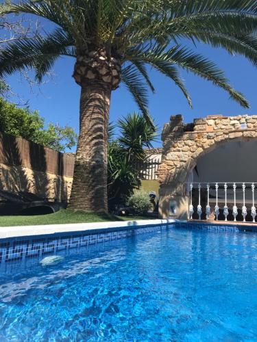 a palm tree next to a swimming pool at Casa Mistela in Jalón