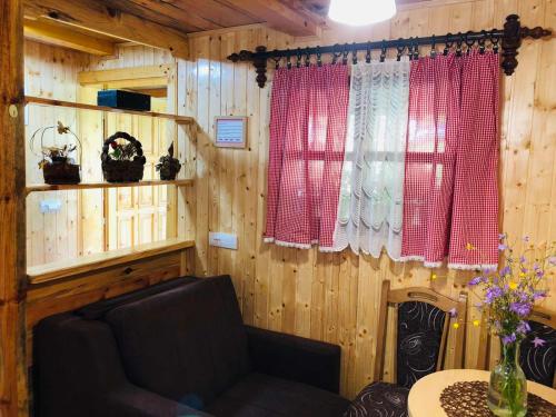 een woonkamer met een bank en een raam bij Etno domacinstvo Stankovic apartman br 2 in Gornji Milanovac