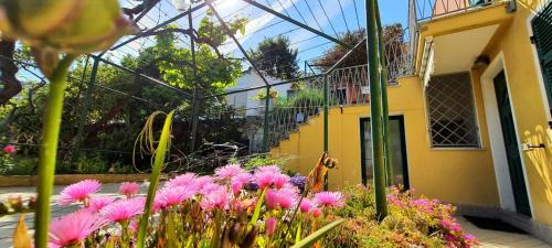 Villa Mimosa #Bluchalet – Photos 3