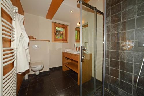 a bathroom with a shower and a toilet and a sink at Chalet Isabelle Mountain lodge 5 star 5 bedroom en suite sauna jacuzzi in Chamonix-Mont-Blanc