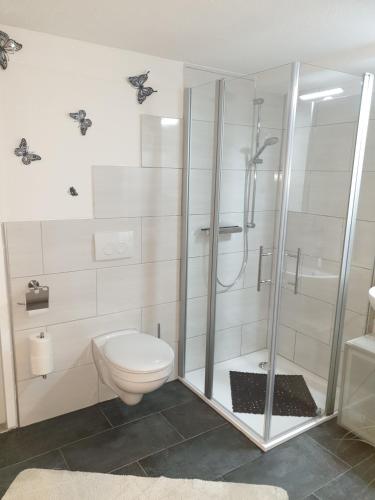 a bathroom with a toilet and a glass shower at Gästezimmer Haus Talblick in Lautenthal