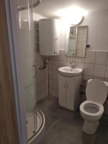 a small bathroom with a toilet and a sink at Oleandria -,,Domek Pokrzywa" in Biskupiec
