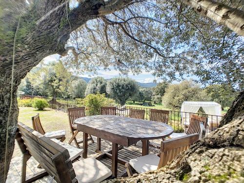 a wooden table and chairs under a tree at Domaine de Tappa - Casa Filicina in Sollacaro