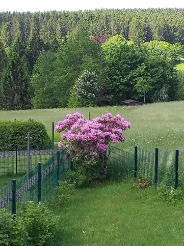 a fence with a pink flower in a field at Ferienhaus Waldblick in Siegmundsburg