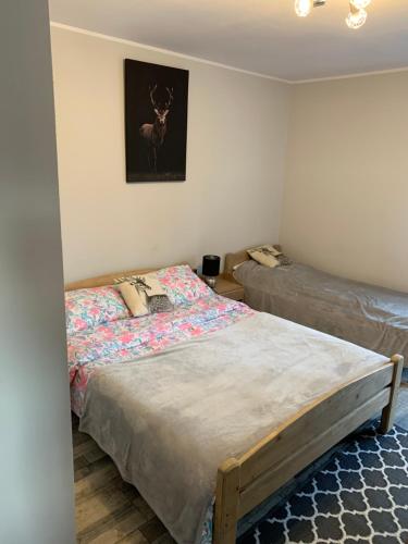 1 dormitorio con 1 cama y una foto de un ciervo en la pared en U Halinki, en Czorsztyn