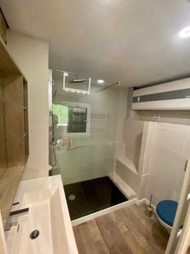 une salle de bain avec une douche, des toilettes et un lavabo dans l'établissement Maison les pieds dans l'eau, à Villefort