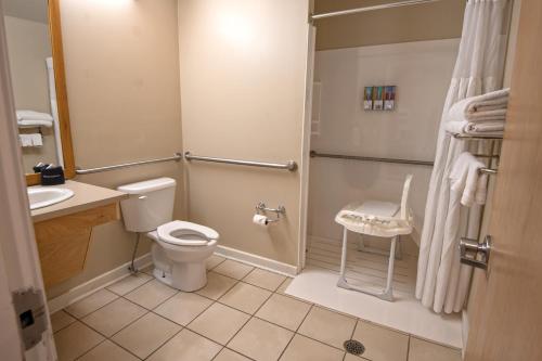 a bathroom with a toilet and a sink and a shower at Barren River Lake State Resort Park in Lucas