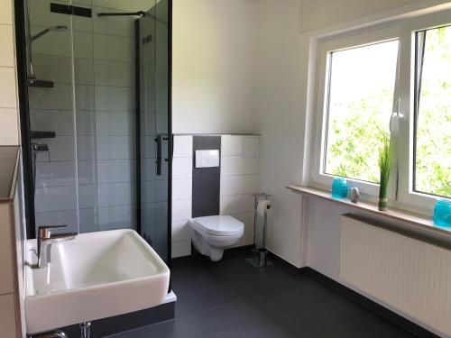 a bathroom with a sink and a toilet and a window at Big Ben's Guesthouse in Müllenbach