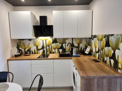Kuchyňa alebo kuchynka v ubytovaní LAGUNA Apartament Polanica Residence 12