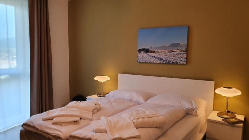 a bedroom with a large white bed with two lamps at Vila Doliny in Konská