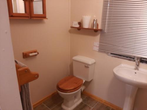 ein kleines Badezimmer mit Toilette und Waschbecken in der Unterkunft Rosenhof Nut Hut Cottage in Clanwilliam
