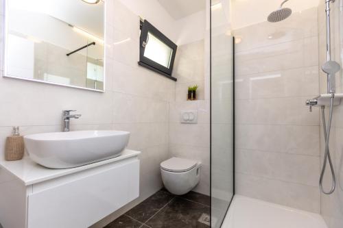 a bathroom with a sink and a toilet and a shower at Luxury Apartments Mauro with Heated Pool in Božava