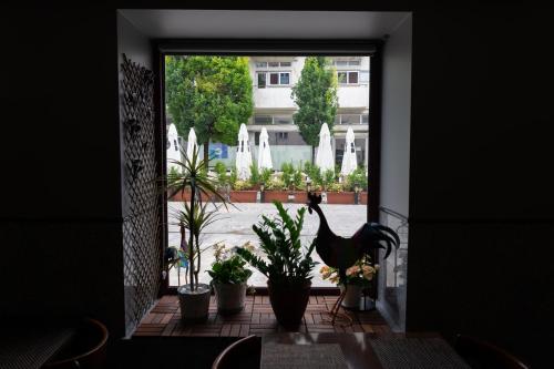 a view of a courtyard from a window with plants at Hotel Vitória in Coimbra