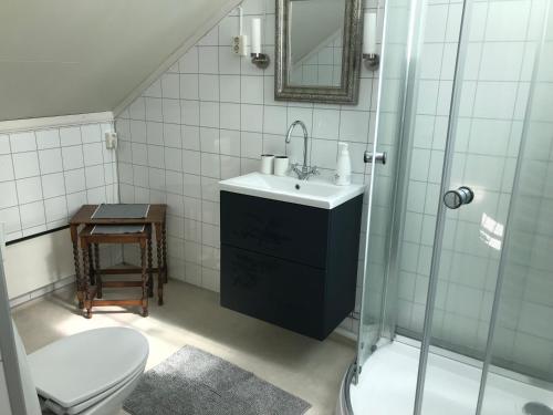 a bathroom with a sink and a shower and a toilet at A Noi Rooms in Kragerø