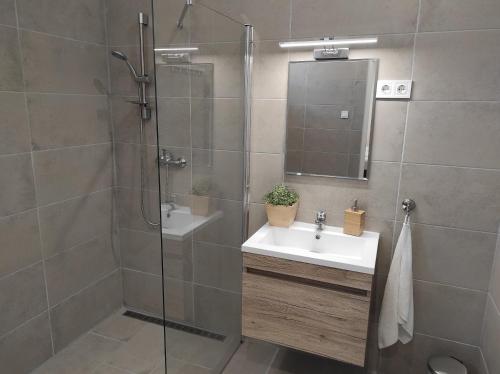 a bathroom with a shower and a sink and a mirror at 7 days Apartment in Makó