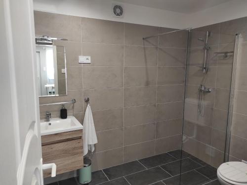 a bathroom with a shower and a sink and a toilet at 7 days Apartment in Makó