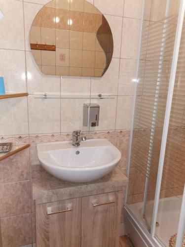 a bathroom with a sink and a shower at Czerwonki Apartament in Mrągowo