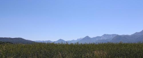 a field of grass with mountains in the background at Appartements Panorama Schlössl in Velden am Wörthersee
