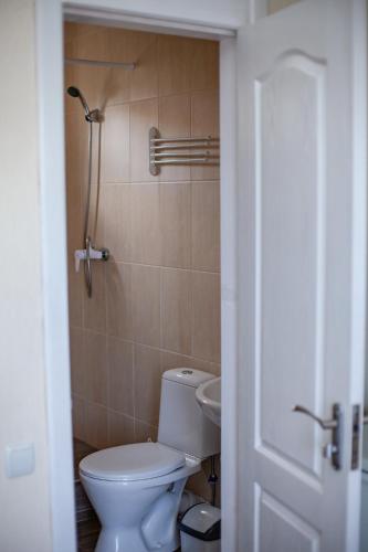 a bathroom with a toilet and a sink at Estate House in Zatoka