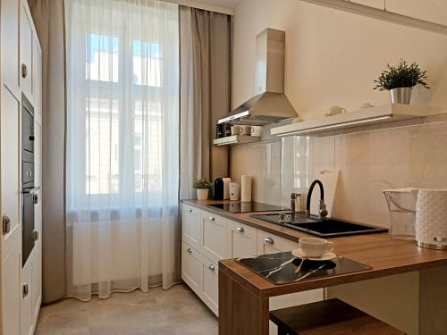 cocina con fregadero y encimera en MyFive Apartments Kraków, en Cracovia