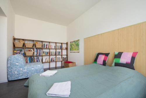 1 dormitorio con 1 cama grande y estante para libros en Sunny apartment, en Olomouc