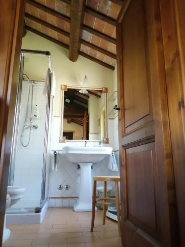 a bathroom with a sink and a shower and a mirror at La Casetta del Cantiniere in Castel di Lama