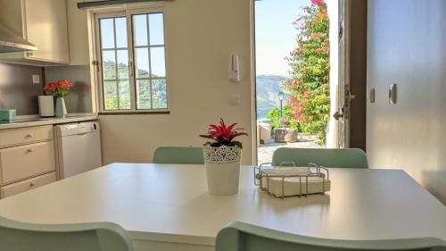 uma cozinha com uma mesa branca com uma planta em Quinta da Galeira no Pinhão