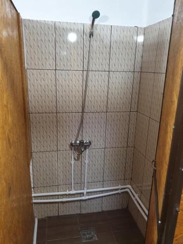 a shower with a shower head in a bathroom at Casutele din Grosi in Groşi