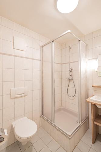 a bathroom with a shower and a toilet at Landhotel Ringelsteiner Mühle in Moselkern