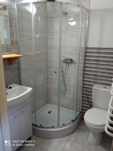 a bathroom with a shower with a toilet and a sink at Staszkowa Zagroda nad Rospudą in Jabłońskie