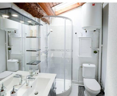 une salle de bain avec une douche, des toilettes et un lavabo dans l'établissement STUDIO 9 Classé 2 Etoiles, à Carcassonne