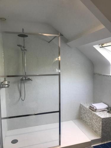 une douche avec une porte vitrée dans une salle de bain dans l'établissement Une nuit sur Loire, à Trèves-Cunault