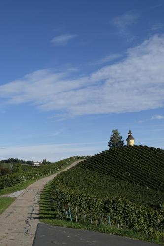 a path through a vineyard with a lighthouse on a hill at Winzer Appartements Kogler in Leutschach